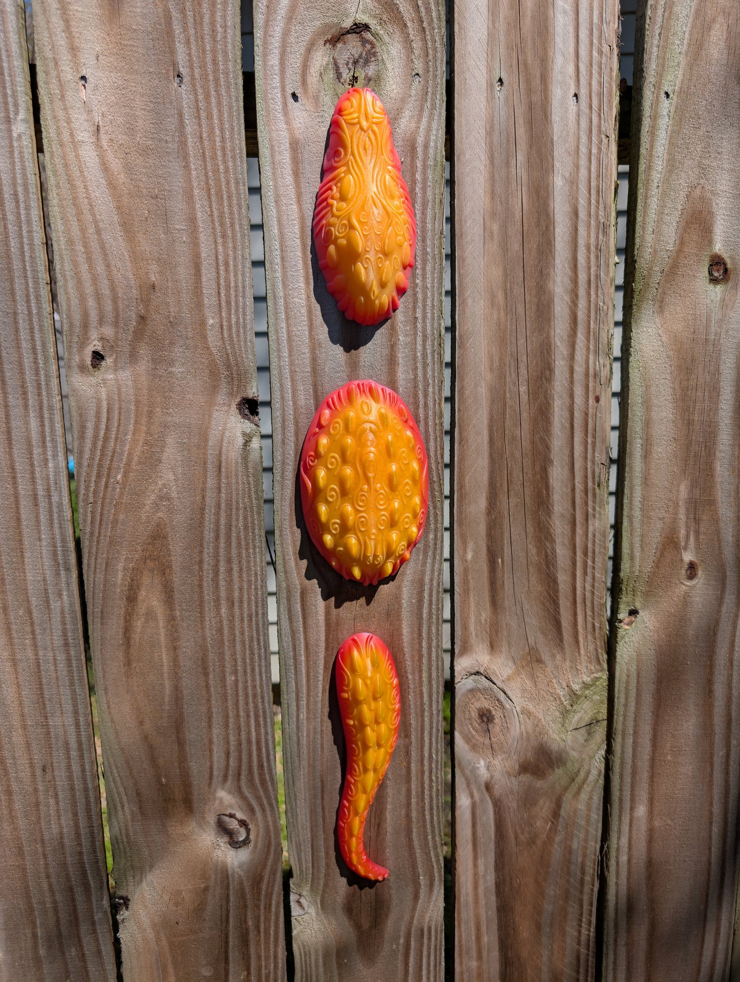 Interior Crocodile x FIG - LE1 Sunrise Orange