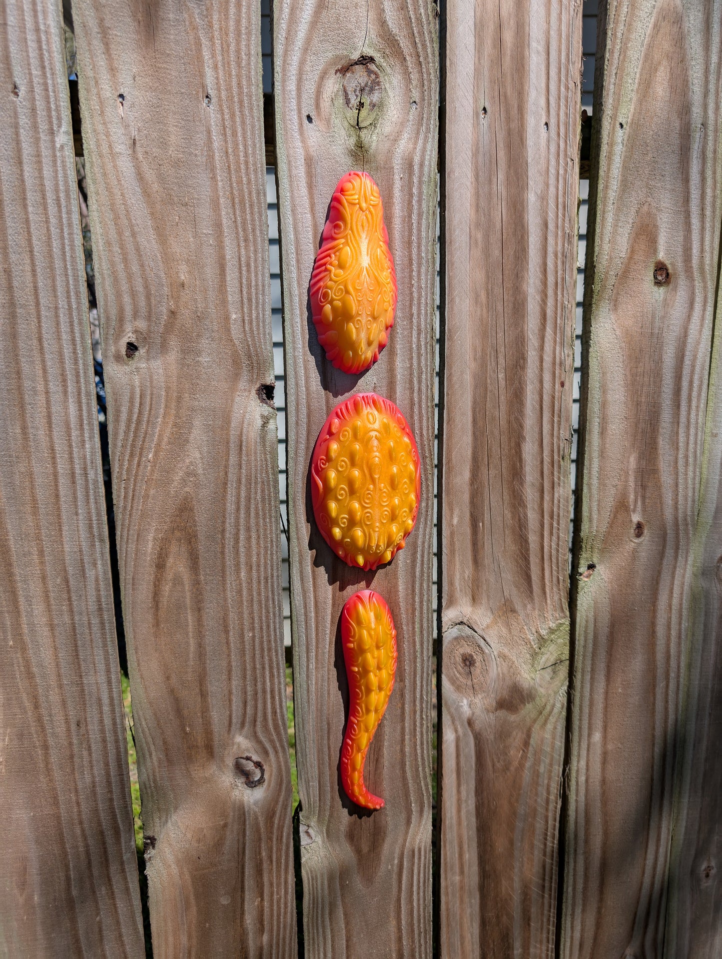 Interior Crocodile x FIG - LE1 Sunrise Orange