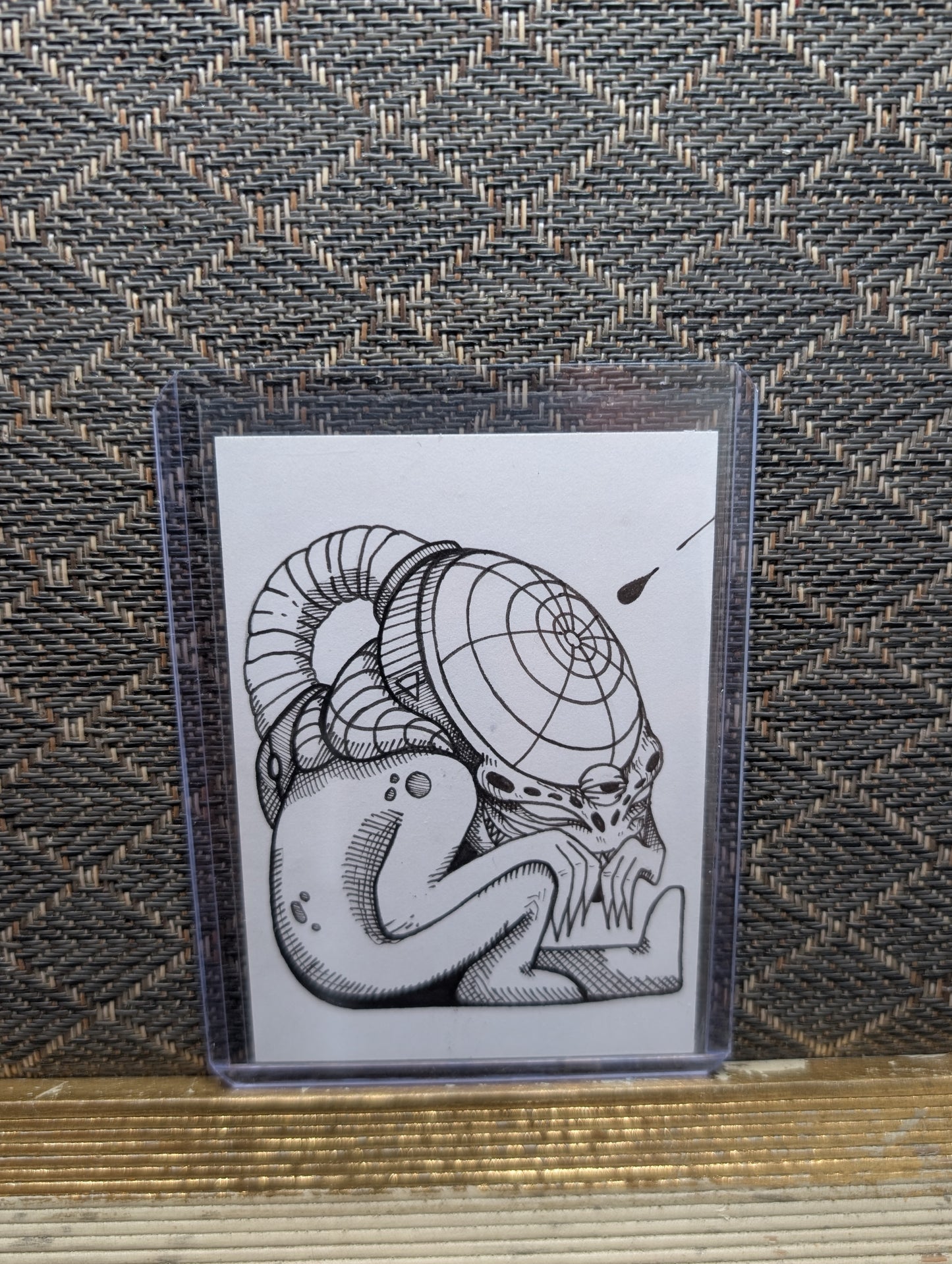 WHUMP SKETCH CARD