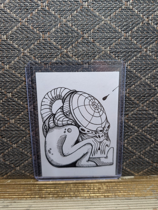 WHUMP SKETCH CARD
