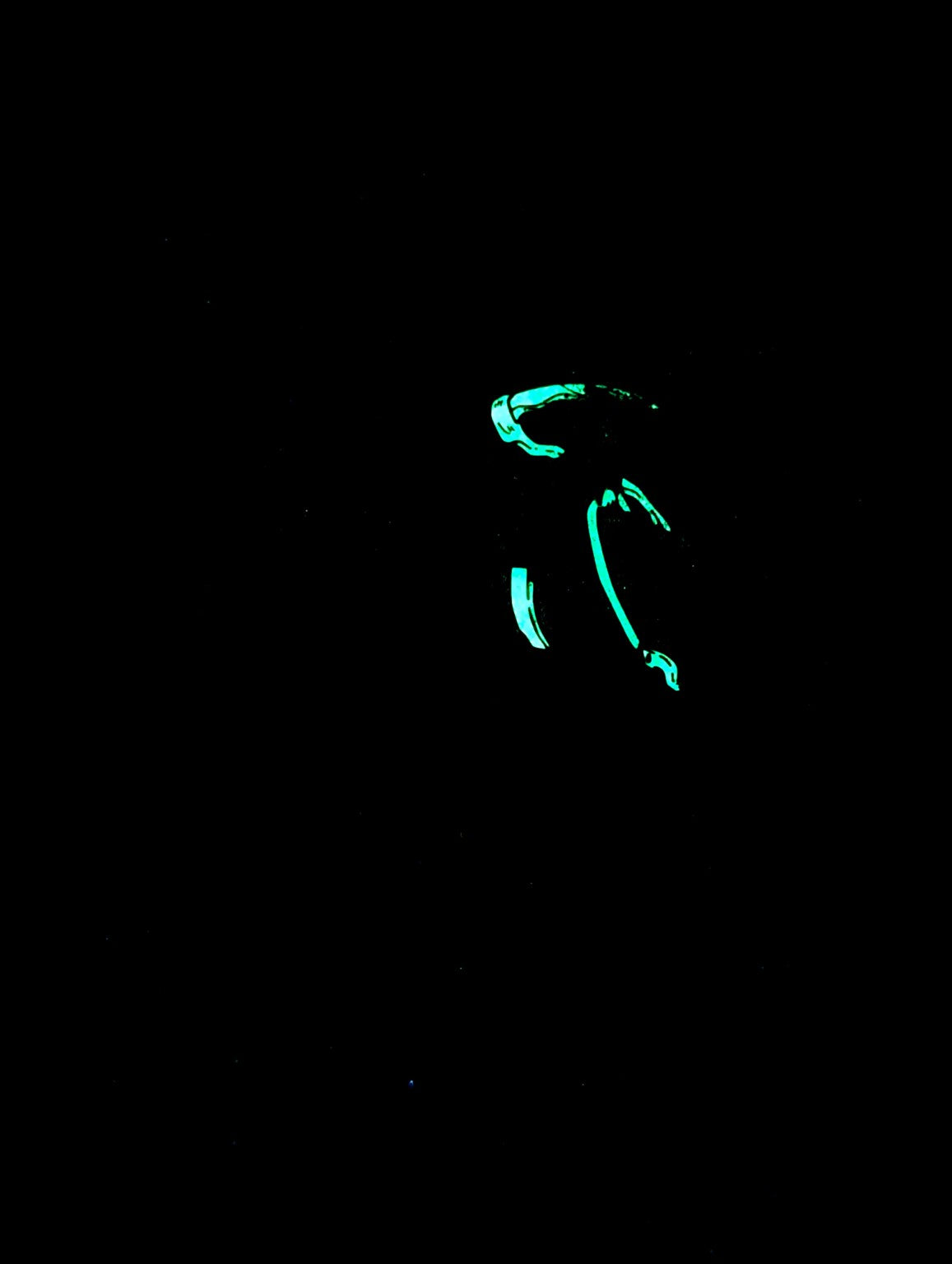 Reapuur v2 x Whump pin green glow detail